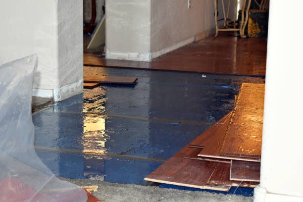 Professional Burst Pipe Cleanup technician working in Coloma, MI